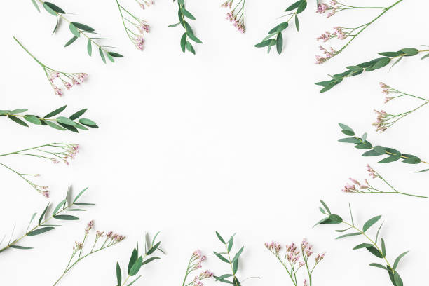 istock Frame made of pink flowers and eucalyptus branches 682088484