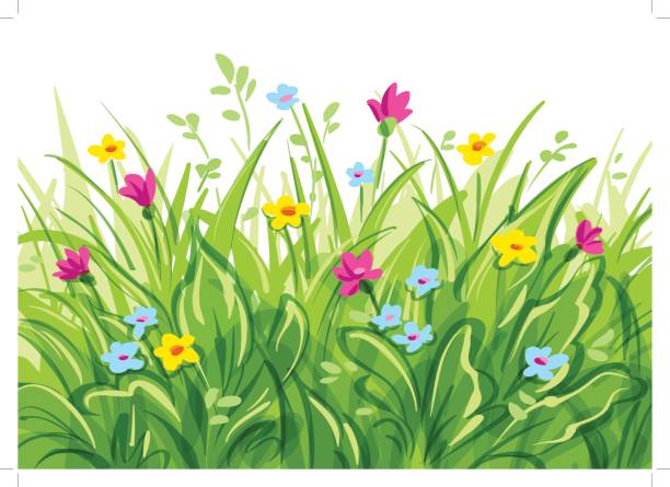 ilustrações, clipart, desenhos animados e ícones de grama de vetor com flores silvestres - flower backdrop nature leaf