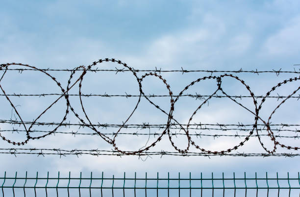 istock Line of barbed wire 682114224