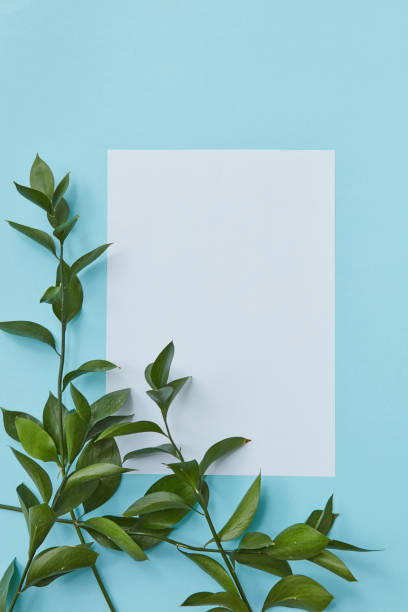 istock Postcard decorated branches of leaves 682122576
