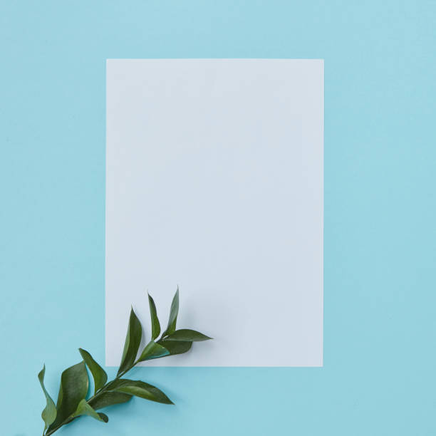 istock Postcard decorated branch of leaves 682122610