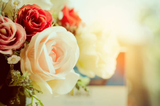 Spring border background with colorful roses