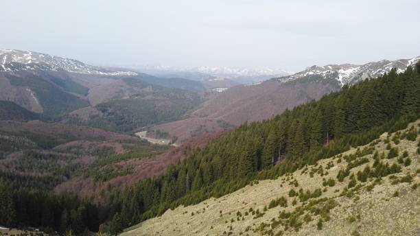 istock Wonderful mountains in Romania 682137688