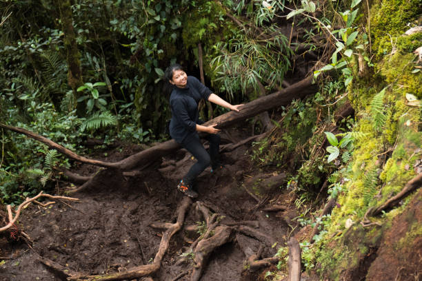 istock Woman is Hiking at Mossy Forest 682141554