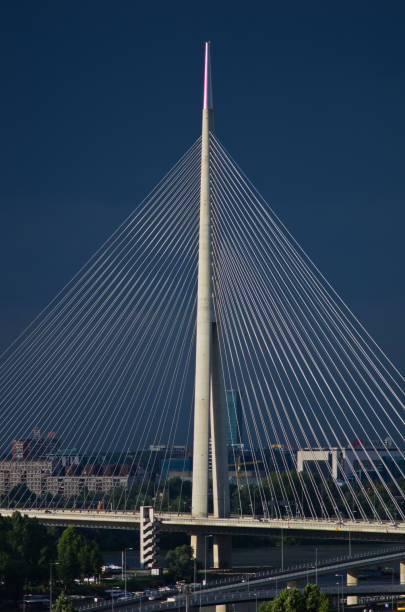 istock Cable bridge against dark blue sky in Belgrade 682147908