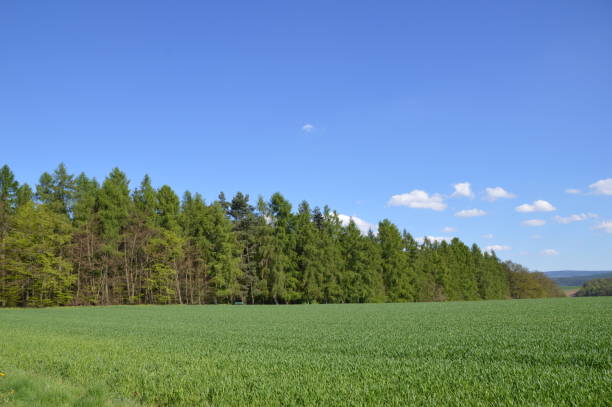 istock Afternoon in the country 682151568