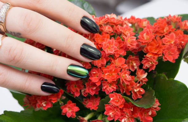 istock Beautiful woman's hands. Natural nails and manicure. Spa procedure. 682154640