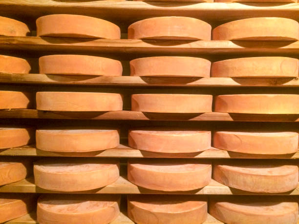 istock Cheese seasoning caves. 682157982