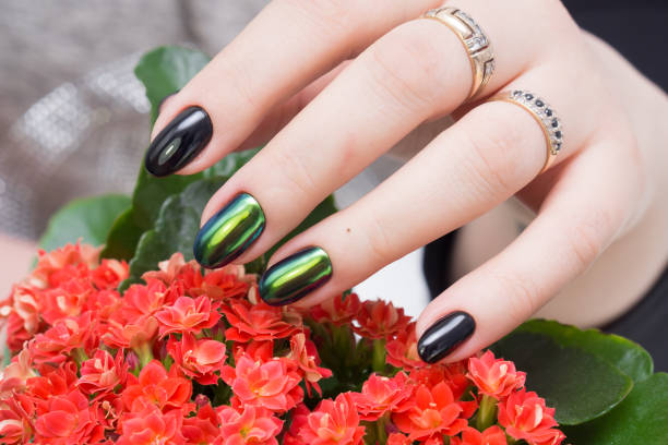 istock Beautiful woman's hands. Natural nails and manicure. Spa procedure. 682158946