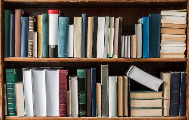 istock Books on wooden shelves in the library 682159218