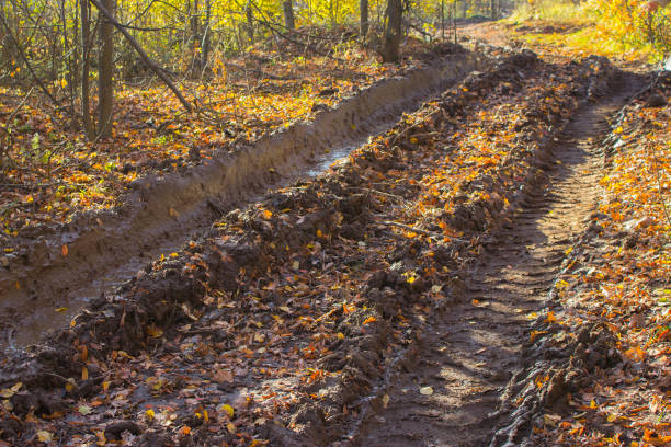 Messy rural dirt road after rain with deep tire tracks