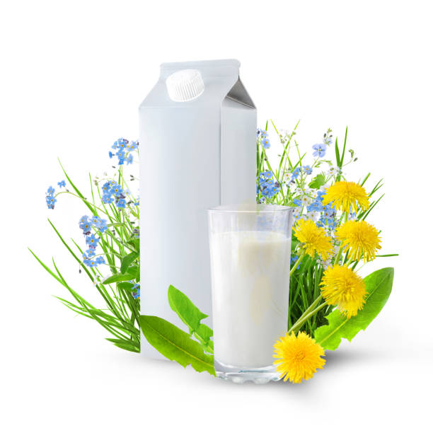 istock Milk in the glass 682167418