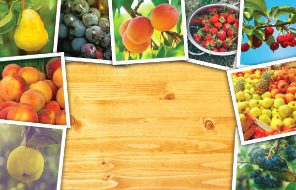 istock Organic fruit production, photo collage with copy space 682179786