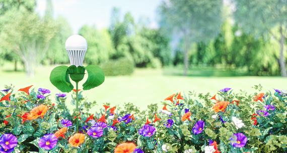 Plant has bloomed an energy efficient led bulb int the environment.
