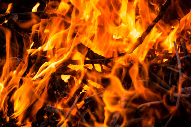 a fire in the dark - forest fire power actions nature imagens e fotografias de stock