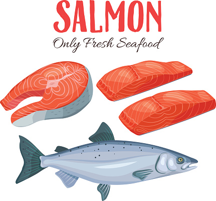 Set salmon vector illustration. Fillet, steak and fish salmon in cartoon style. Seafood product design.