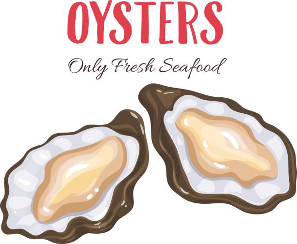 Oyster Clip Art Free