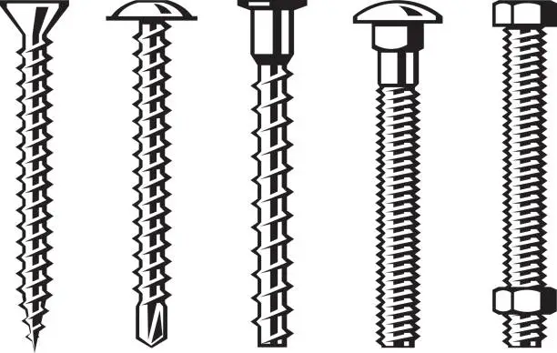 Vector illustration of Screws bolts and nut