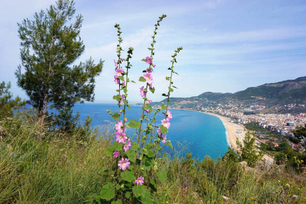 View of Kleopatra Beach Alanya, Turkey