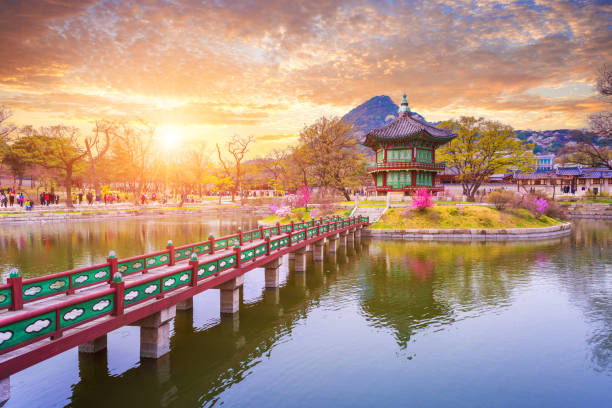 palácio gyeongbokgung na primavera, coreia do sul. - coreia do sul - fotografias e filmes do acervo