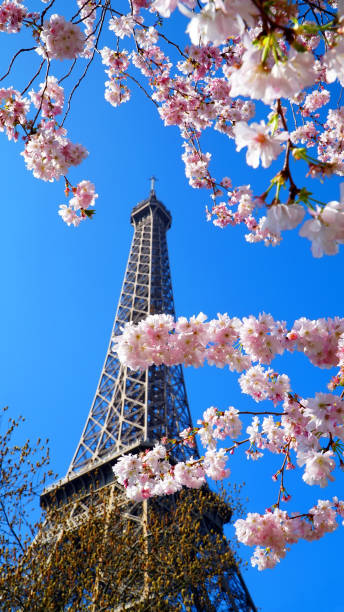 istock Eiffel Tower in spring time, Paris, France 682217434