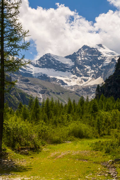 parque de nacional do grande paraíso (vale de aosta, itália): picos e geleiras em valnontey - parque nacional de gran paradiso - fotografias e filmes do acervo