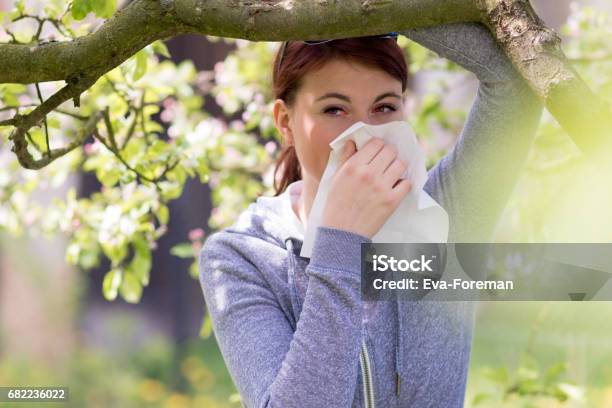 Pollenallergie Leiden Stockfoto und mehr Bilder von Heuschnupfen - Heuschnupfen, Allergie, Frühling