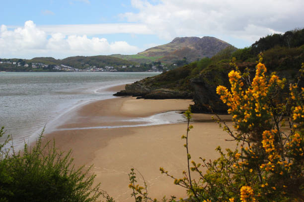 Portmeirion Beach View of Portmeirion Beach with the town of Porthmadog in the distance portmeirion stock pictures, royalty-free photos & images