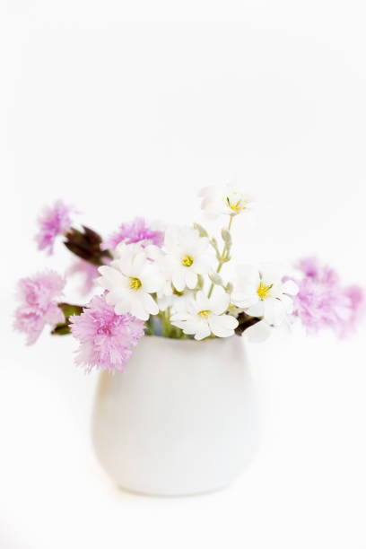 istock Flowers in a  vase on white background 682250298