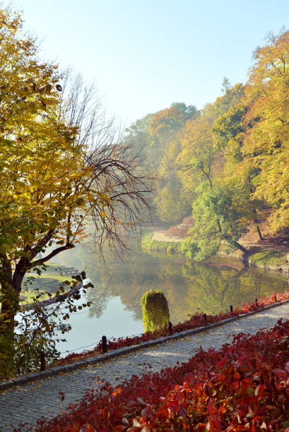 istock Autumn in the park 682250444