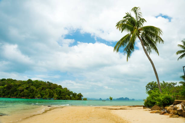 istock Railay beach in Krabi, Thailand 682254962