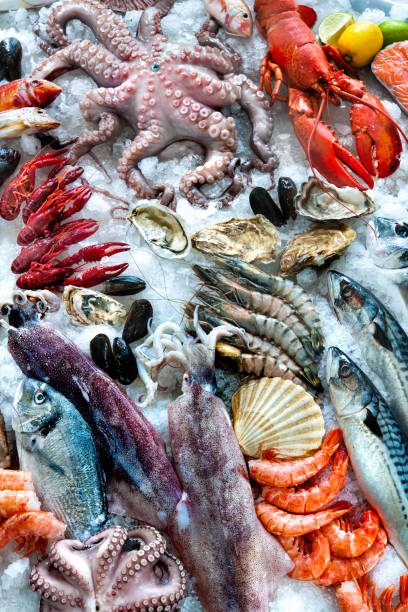 seafood on ice - catch of fish gilt head bream variation fish imagens e fotografias de stock