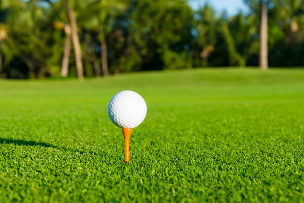 istock Golf ball on tee on golf course over a blurred green 682260906