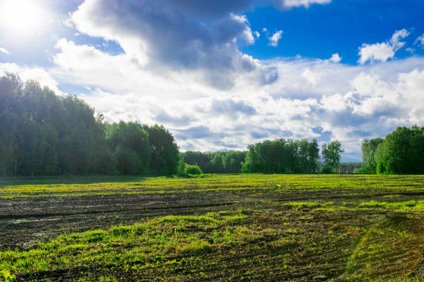 istock farm field in sun light, countryside landscape 682265778