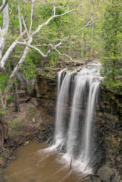 istock Charleston Falls and Sycamore Tree 682268746