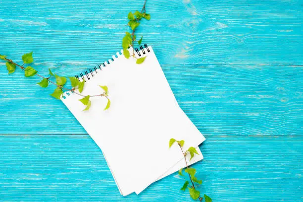 spring background, notebook with birch branches over turquoise table