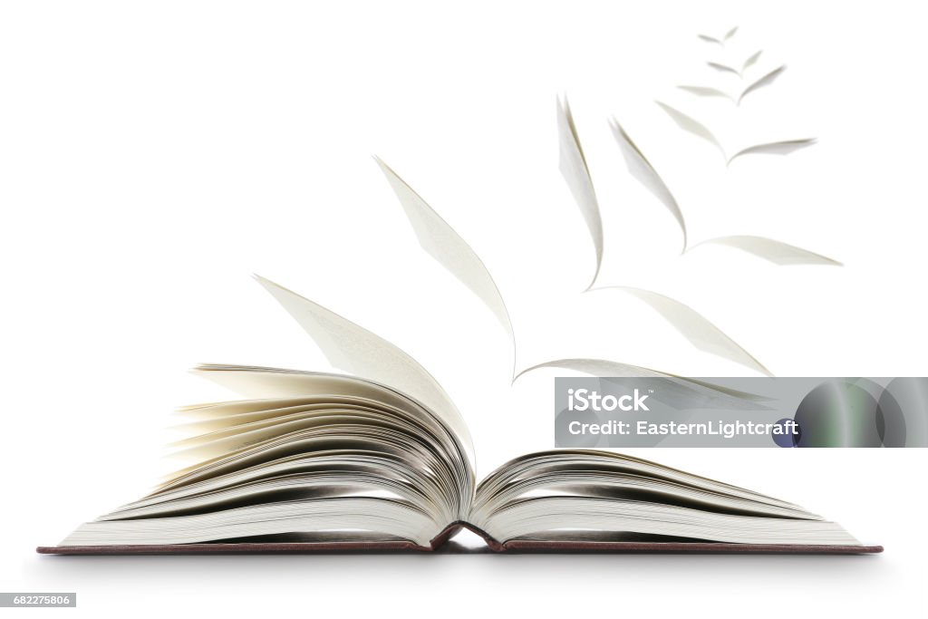 Reading Book Concept Winged Pages Conceptual image of an open novel or book with pages flying away as if turning into winged birds. The image is isolated on a white background with a drop shadow placing the book on the white surface. Book Stock Photo