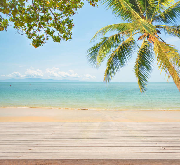 istock Empty wooden with coconut tree and sea background for product display.(Shadow coconut on wooden) 682278864