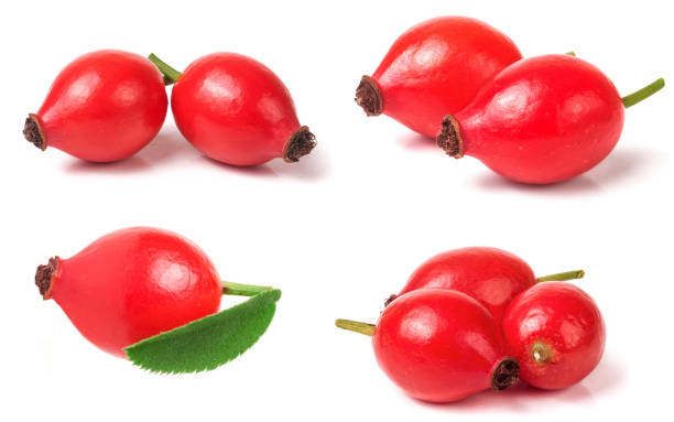 istock rose hip berry with leaf isolated on white background. Set or collection 682282140