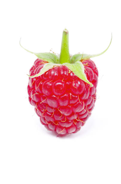istock ripe raspberries isolated on white background 682288796