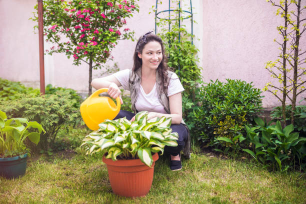 istock Woman in garden 682288880