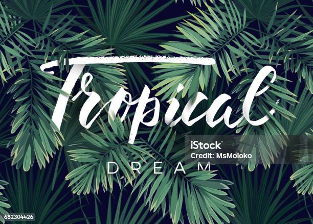 Summer Tropical Vector Design For Banner Or Flyer With Dark Green Palm Leaves And Lettering Stock Illustration - Download Image Now