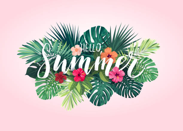 sommer-tropischen vektor-design für banner oder flyer mit exotischen palmen blätter, hibiskusblüten und handlettering - tropischer strauch stock-grafiken, -clipart, -cartoons und -symbole