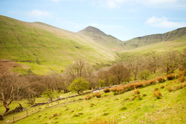 istock Sere Valley walk Brecon Beacons Wales UK 682309176