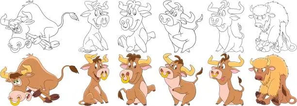 Vector illustration of cartoon bulls set