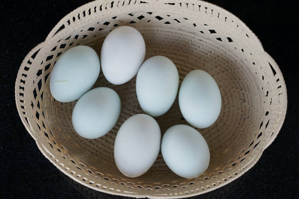 istock Salted duck eggs in a basket on the black table. 682311998