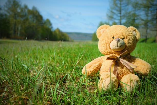 istock Baby bear on the grass 682319114