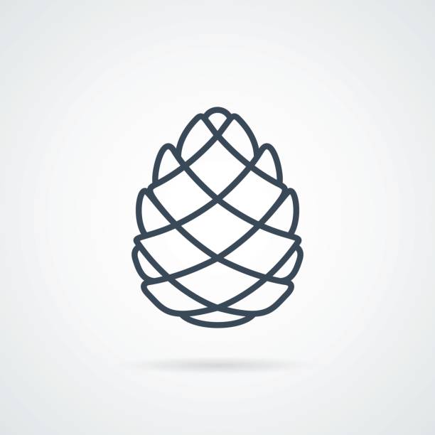 illustrations, cliparts, dessins animés et icônes de pomme de pin ligne icône vector - sapin