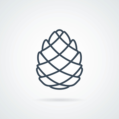 Pinecone Line Icon Vector illustration. Pine cone botanical logo isolated on background with a shadow. label cone Easy to use template