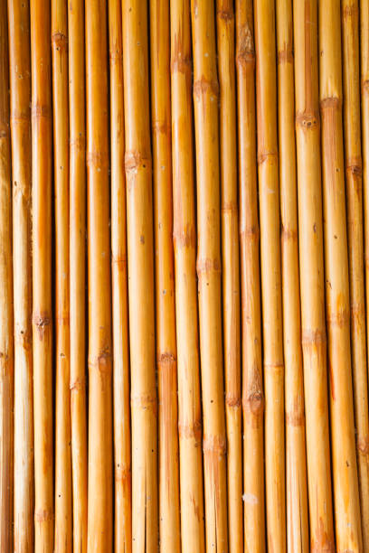 bamboo fence or wall texture background for interior or exterior design.